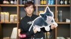 全能音乐人<em>GJ</em>蒋卓嘉累积近4年音乐能量 打造新型态情歌《禁未来》