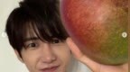 光熙公开与<em>李</em><em>孝</em><em>利</em><em>的</em>短信内容…从济州发来<em>的</em>苹果芒果认证“大发”