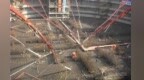 湖南1248个重大项目集中开工 总投资<em>7428</em>亿元