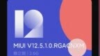 小米<em>10S</em>推送MIUI 12.5稳定版内测