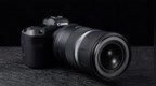 超高性价比打鸟镜头 佳能RF 600mm <em>F11</em>
