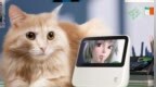 首发249元！天猫精灵<em>CC6</em>正式发售 内置特色声优闹钟