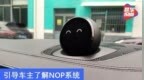 蔚来推送NIO Pilot考试 引导车主了解<em>NOP</em>系统