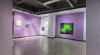 朱明弢·曾晖抽象绘画展在云观美术馆开幕