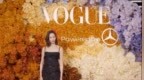 <em>wow</em>，就喜欢看女明星们摩拳擦掌的“打群架”