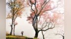 10月美开挂！温州这座逍遥老城迎来最美秋季，小众秘境每一处都惊艳！