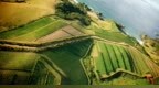 <em>NZW</em> CEO Philip Gregan：新西兰葡萄酒对华出口量额齐升，均价全球最高