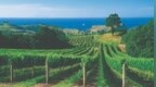 <em>NZW</em> CEO Philip Gregan：新西兰葡萄酒对华出口量额齐升，均价全球最高丨世界知名产区之声⑬