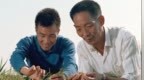 【百个瞬间说百年】<em>1973</em>，攻克杂交水稻难关