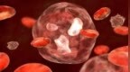 Cancer Cell|基于多组学数据绘制<em>AML</em>蛋白基因组学图谱，揭示具有临床相关性的蛋白组亚型Mito-AML