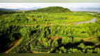 河源高标准建设省级油茶跨县 集群产业园
