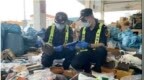 去年深圳海关扣留涉侵权货物<em>2140</em>万件，消费品类占多数