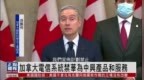 加拿大电信<em>系统</em>禁华为<em>中兴</em>产品和服务