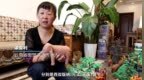 面塑作品“<em>象</em>往<em>的</em>地方”<em>长</em>4.2米，经自然风干可保存20年