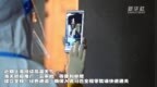 历经<em>7000</em>多公里  75匹马集体入境上海浦东机场
