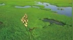 遇见中国之美·湖南篇：三湘大地青山碧水，<em>芙蓉国里尽朝晖</em>