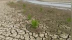鄱阳湖水位再创历史新低