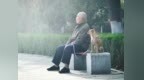 城市那么大，老年人的出行半径只有800米