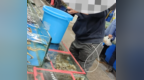 低价螃蟹秒变<em>2288</em>阳澄湖蟹卡 防伪二维码可造假 消费者兑换难