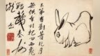 300多年前画册中有只“方”兔子