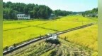 2022年南充粮食播种面积继续保持四川省第一