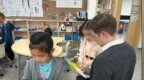 北京致知学校<em>PYP</em>第三单元总结性评估  -- 探究成果的精彩呈现