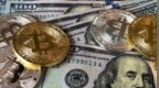 债券圈巨震 报价软件<em>QB</em>等或退出历史舞台