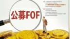 公募<em>FOF</em>一季度收益水平较低 股票型<em>FOF</em>配置ETF渐成主流
