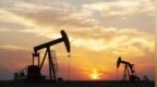 经济逆风持续 <em>IEA</em>今年首次下调全球石油需求预测