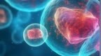 不再局限于癌症！“CAR-T细胞疗法之父”Carl <em>June</em>再发Nature，探讨CAR-T 疗法超越癌症的前进之路