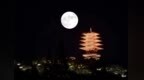 杭州人怎么过中秋？杭州与月有关的景点有哪些？