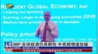 <em>IMF</em>：全球经济仍具韧性 中长期增速放缓