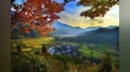 向秋而行 来一场town <em>walk</em>！