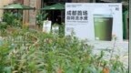 Grid <em>Coffee</em> 成都首店正式启幕
