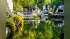 听戏、赏菊、观泉……泉城秋意正浓