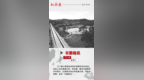 【红旗渠记忆】图片故事：长藤结瓜