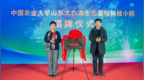 中国农业大学山东太白湖生态畜牧科技小院揭牌成立