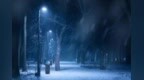 冬夜书香暖