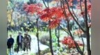 小钙粉撬动大市场 德兴推动钙粉产业绿色发展