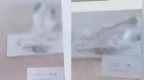 高校老师课堂上讲解“春宫图”，被质疑过于露骨，校方回应