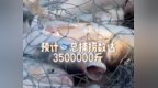 查干湖渔猎季：350万斤鲜鱼宴宾朋