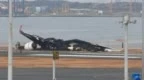 羽田机场撞机事故5名遇难者死因确认