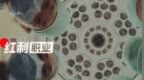大健康2024：Biotech寒冬，CGT崛起，中医药与养老服务迎来黄金期｜职场红利年终盘点②