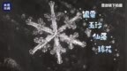 【千姿百态！#显微镜下每朵<em>雪花</em>都有不同的美#[<em>雪花</em>]】#中国古代<em>雪花</em>