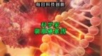 【#科学家驯服癌基因#，#人类75%的癌症有望被消灭#】<em>MYC</em>，一种