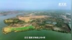 中国乘法口诀实物上溯至<em>2300</em>多年前
