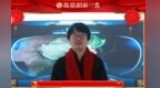 【金龙贺岁】上海左岸芯慧电子科技有限公司总经理古成龙 拜年送祝福