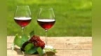直击葡萄酒洋酒春节动销：进口烈酒普降，葡萄酒2024迎转机、有酒商动销增长200%
