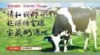 京东国际溯源之旅——探访全球宝藏奶源