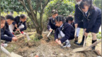 杭州市东城外国语实验学校开展“植初心，种未来”植树护绿活动